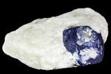 Lazurite Crystal in Marble Matrix - Afghanistan #111763-1